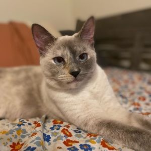 Meet your Posher, Parker